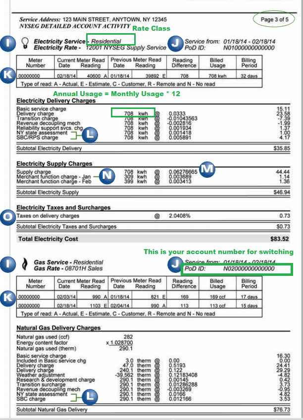 New York State Electric and Gas